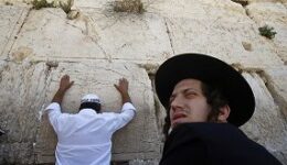 Prophecy News:  May 2014
